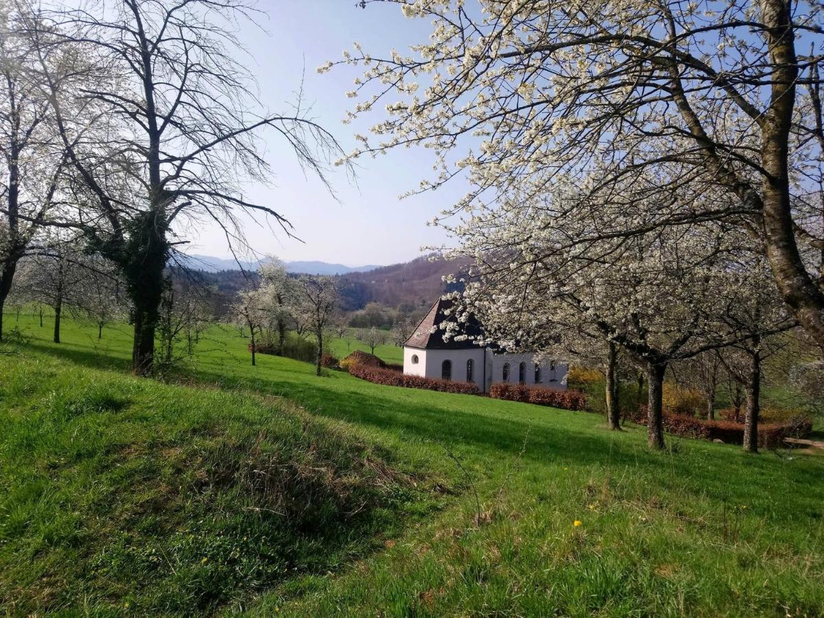 Ebringen Ferienwohnung Birkental מראה חיצוני תמונה