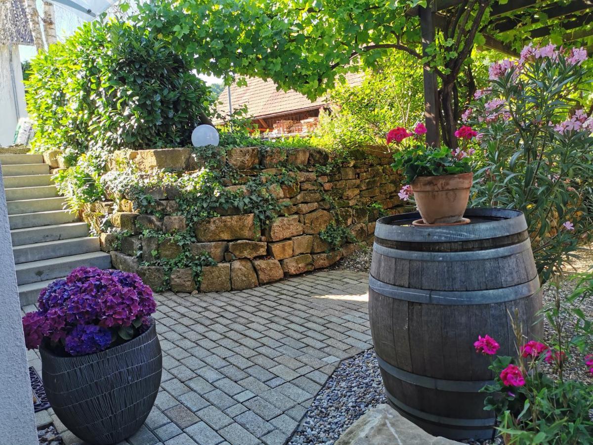 Ebringen Ferienwohnung Birkental מראה חיצוני תמונה